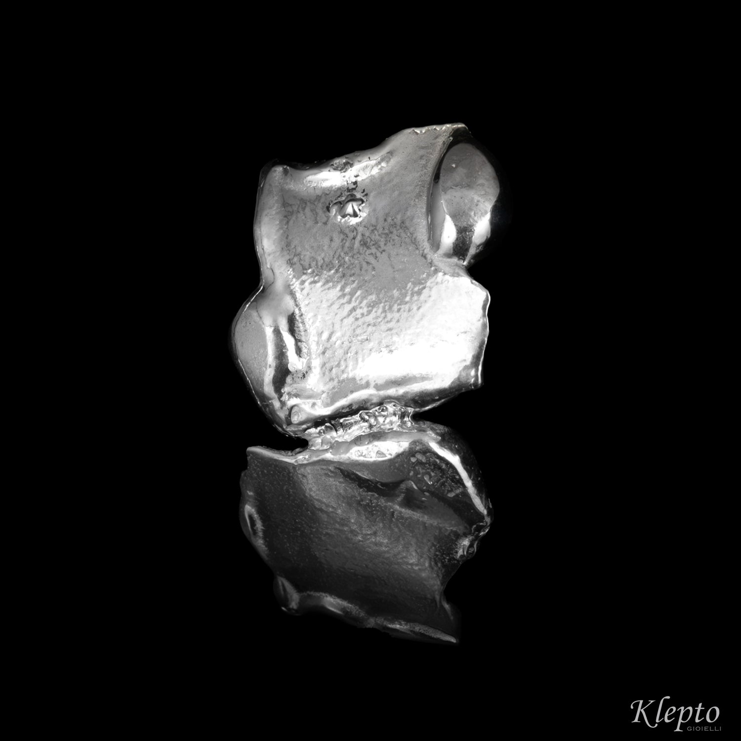 Silver Silnova® Plate Earrings