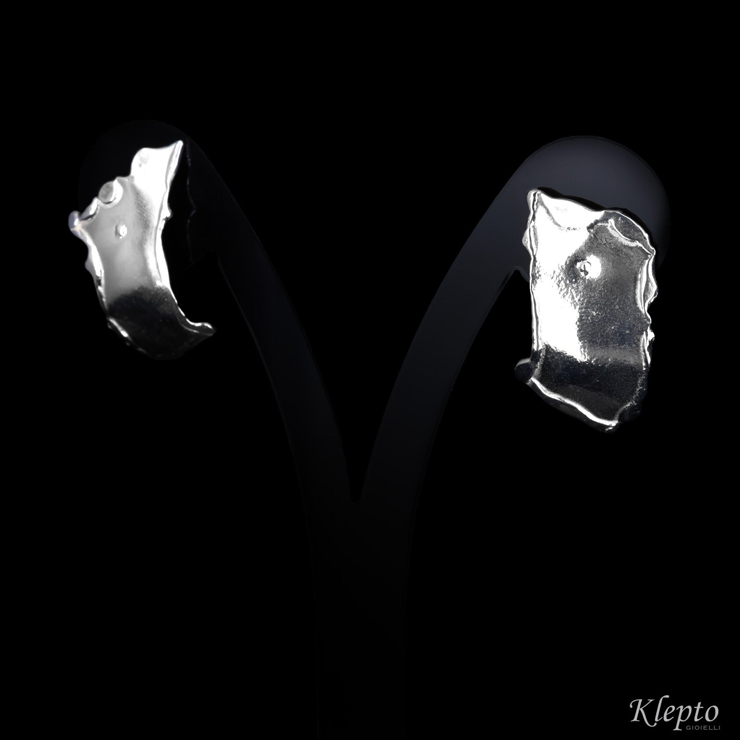 Silver Silnova® Plate Earrings